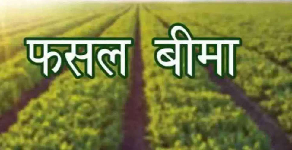 Banswara जिले के आम उत्पादक किसानों को सहारा मिलेगा, फसल बीमा की तारीख बढ़ी 