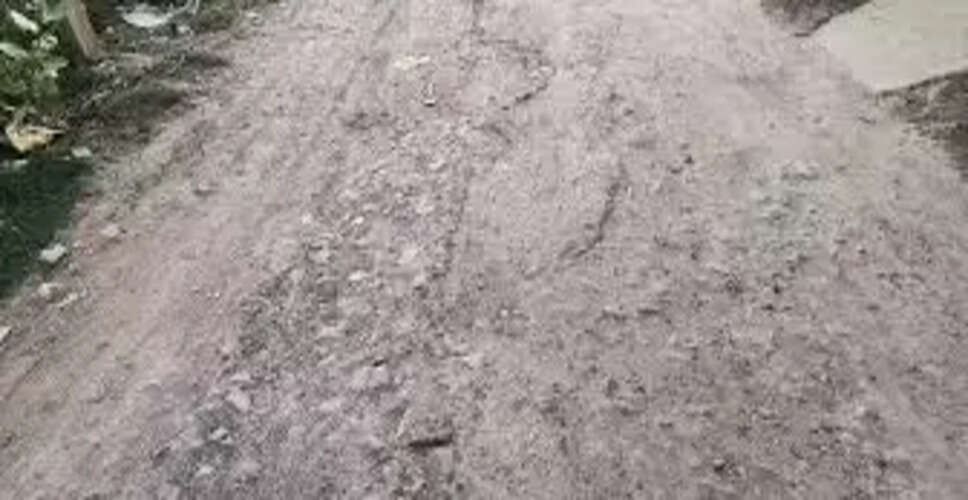 Karoli&nbsp;दिवाली का त्यौहार नजदीक, खराब सड़कों की नहीं हो रही सुध