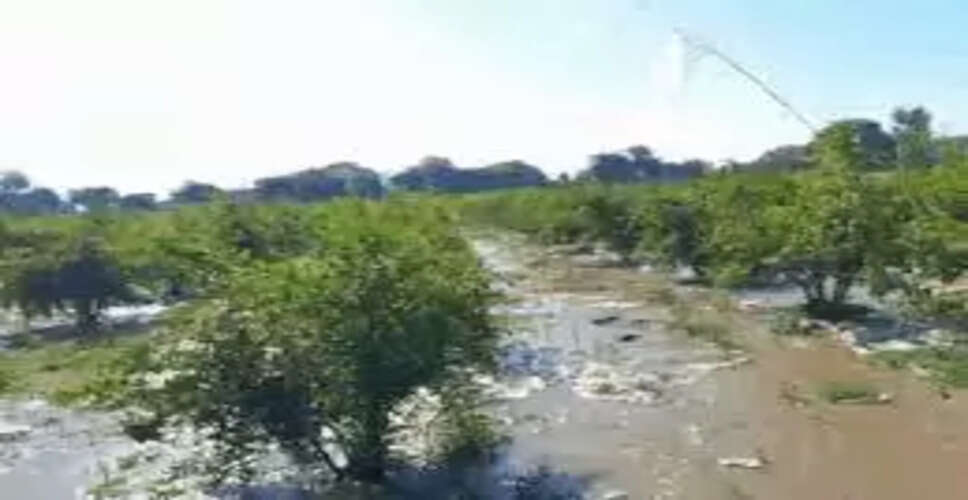 जालोर: निंबलाना गांव में नर्मदा पाइपलाइन का बार-बार लीकेज, किसानों की फसलें बर्बाद और कर्ज में डूबने का संकट