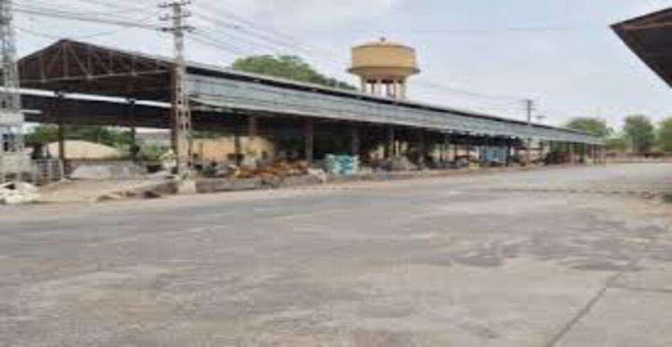 बीकानेर मंडियों में दानामेथी के भाव में गिरावट