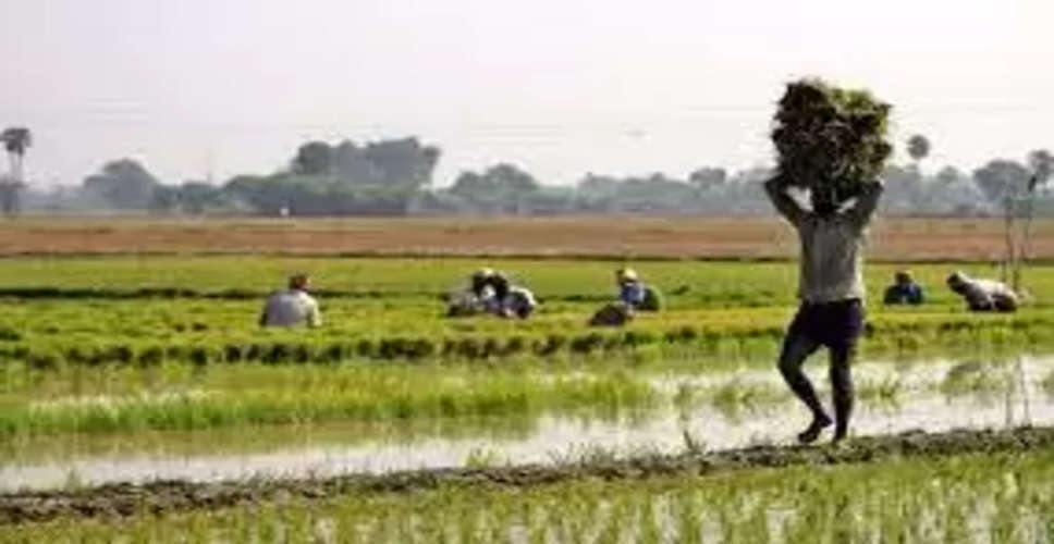 Jhalawar किसानों पर सहकारी बैंकों का 11 करोड़ रुपए का ऋण बकाया