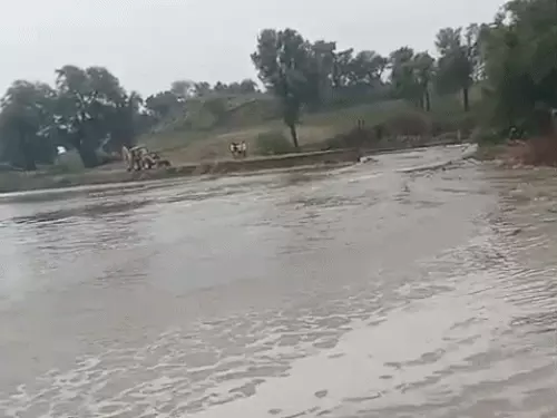 बीकानेर में सिंचाई पानी की मांग को लेकर किसानों का आंदोलन तेज, खाजूवाला से अनूपगढ़ तक मंडियां बंद