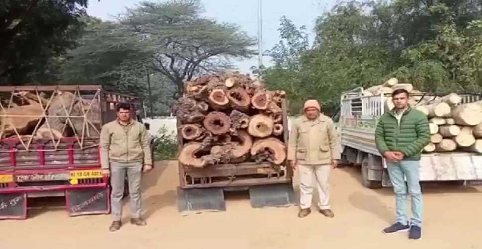 Jhunjhunu में डीएसटी व वन विभाग ने कार्रवाई कर हरी लकड़ी से भरे 12 पिकअप की जब्त