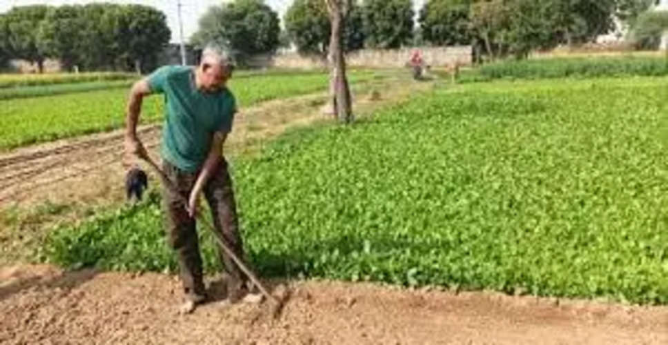 Pali अफसर बने किसान, रिटायरमेंट के बाद खेती में आजमा रहे हाथ