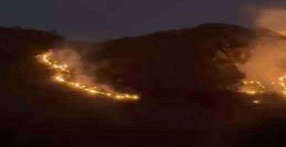 Rishabhdeo के बिलख तिराहे के पास पहाड़ी पर भीषण आग, डेढ़ घंटे में काबू