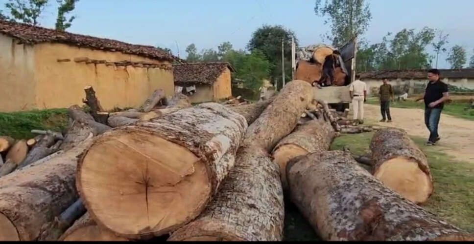 Karoli बांध के समीप पेड़ों की कटाई से ग्रामीणों में उपजा आक्रोश&nbsp;