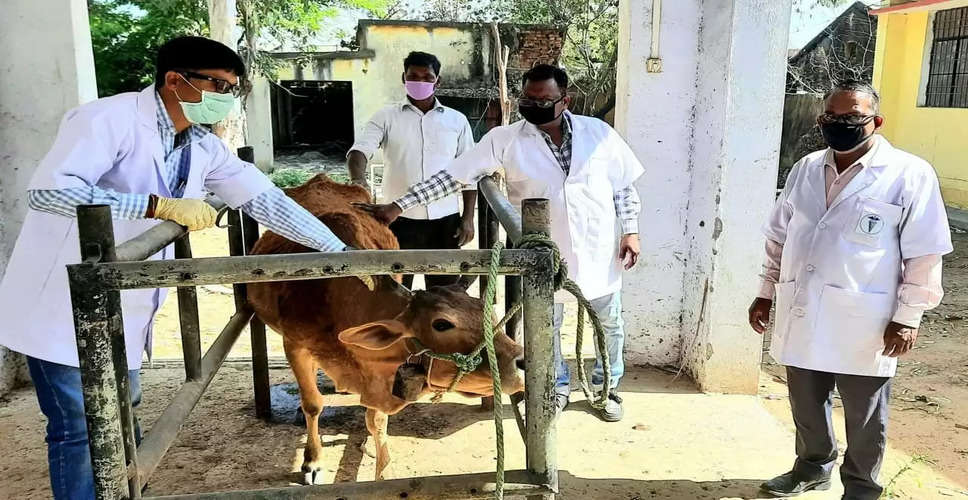 Pratapgarh जिला पशु चिकित्सालय में चिकित्सकों की कमी, 91 पद खाली, कैसे संभलेगी व्यवस्था