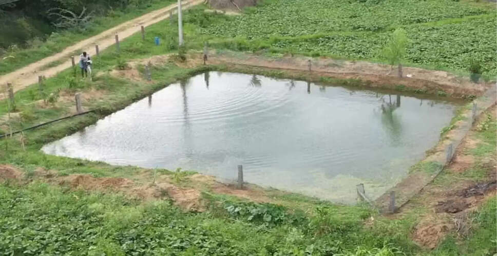 प्रदेश में जल संरक्षण को मिलेगा बढ़ावा: 41 जिलों में 25 हजार खेत तालाब बनेंगे, किसानों को 90% तक अनुदान