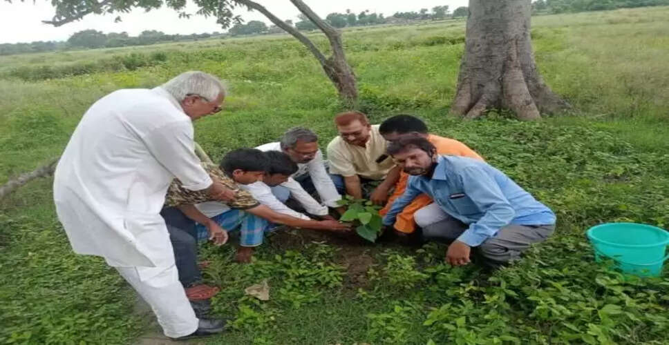 Dausa&nbsp;राजस्थान विरासत संरक्षण समिति के सीईओ द्वारा संत सुंदरदास पैनोरमा पर लगाए पौधे