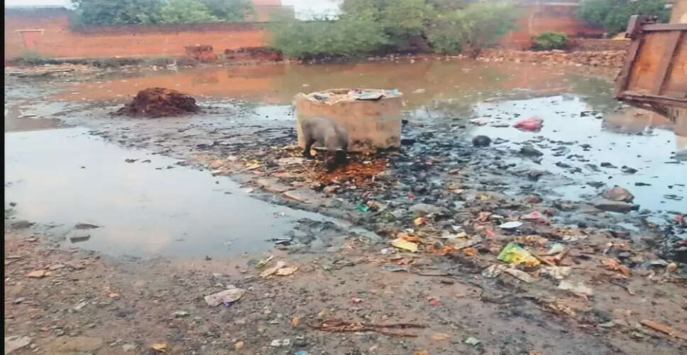 डूंगरपुर में तरुण सागर चौराहा और शिवाजी नगर वार्ड 33 में गंदगी से जनजीवन प्रभावित