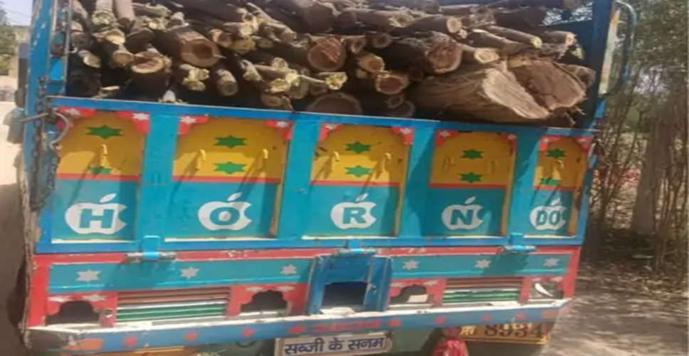 Sawai madhopur पुलिस ने हरी लकड़ी से भरी पिकअप हिरासत में ली, चालक गिरफ्तार
