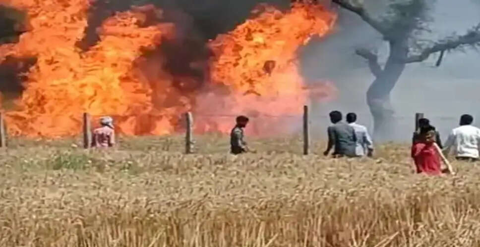 राजस्थान के इस जिले में&nbsp;बिजली गिरने और शॉर्ट सर्किट ने किसानो की खुशियों में लगाईं आग, इतने बीघा गेहूं की फसल राख&nbsp;