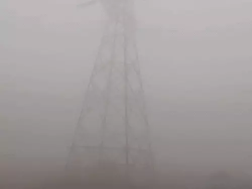 अलवर में मौसम की मार: बारिश-ओलावृष्टि के बाद घना कोहरा, विजिबिलिटी 30 मीटर तक घटी