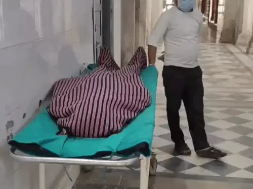 प्याज की फसल पर दवा छिड़कते समय किसान की तबीयत बिगड़ी, इलाज के दौरान मौत; खेत में बेसुध मिला था किसान
