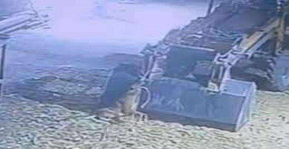 जोधपुर में अमानवीय घटना: कुत्ते को जेसीबी से लटकाकर मारने का आरोप, मामला दर्ज