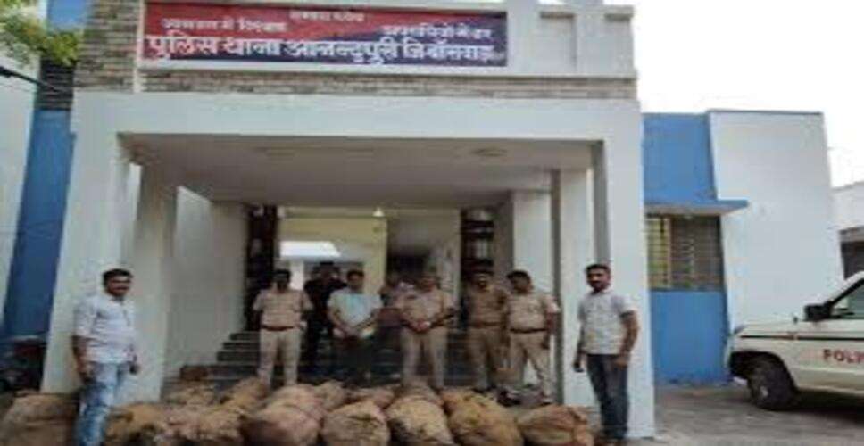 बांसवाड़ा में &lsquo;ऑपरेशन त्रिनेत्र&rsquo; के तहत गांजे की अवैध खेती का भंडाफोड़, बड़ी मात्रा में मादक पदार्थ जब्त