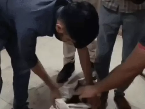 प्रतापगढ़-चित्तौड़गढ़ बॉर्डर पर होटल में छापा, शराब, अफीम और डोडा चूरा बरामद