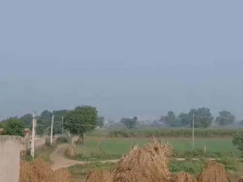अलवर में 3 डिग्री गिरा तापमान, अगले 6 दिन बारिश के आसार नहीं