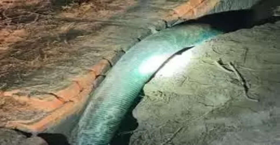 नहर परियोजना से हुई चोरी का खुलासा, तीन आरोपी गिरफ्तार &ndash; 1.50 लाख रुपए का सामान बरामद
