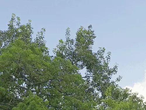ठंडी हवाओं से गर्मी से राहत, आज और कल हल्की बारिश के आसार; आसमान में छाए बादल