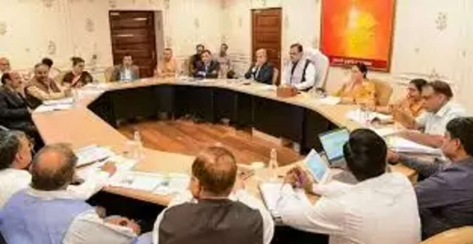 Karoli&nbsp;आधी लागत पर कर रहे काम, फिर गुणवत्ता पर कैसे ध्यान देंगे