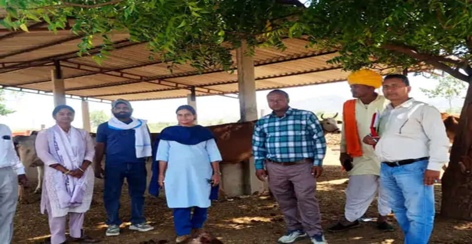 करवर गौशाला में 500 गोवंश का भौतिक सत्यापन, व्यवस्थाओं की हुई जांच