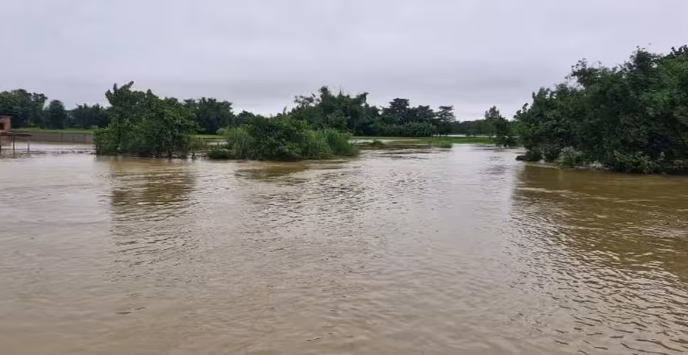 पहले झमाझम बारिश अब उफनती नदी ने मचाया तांडव....राजस्थान के इस जिले में रास्ते बंद होने से 20 गांवों के लोगों की जिंदगी ठप