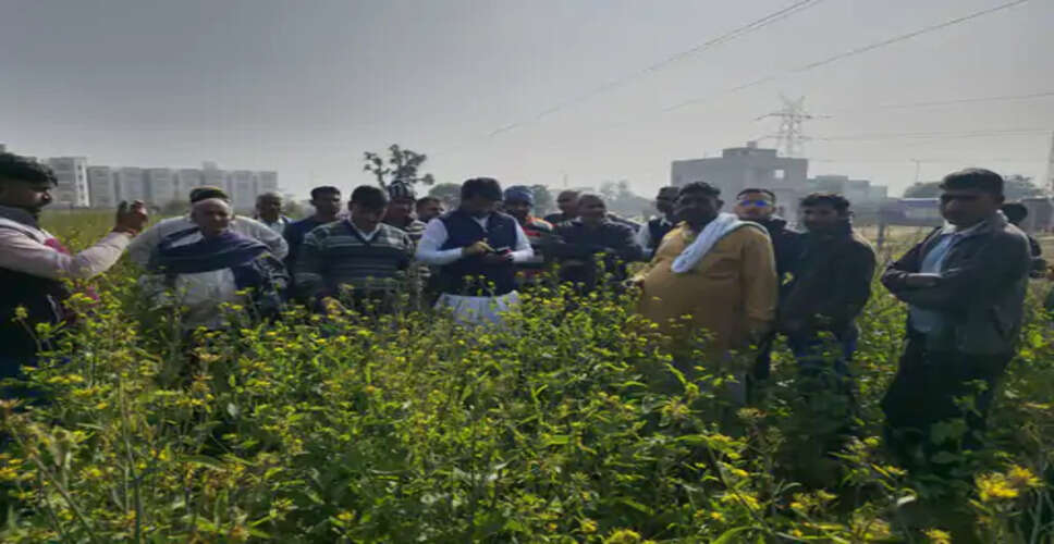 Alwar औद्योगिक रसायन के कारण 700 बीघा सरसों की फसल नष्ट