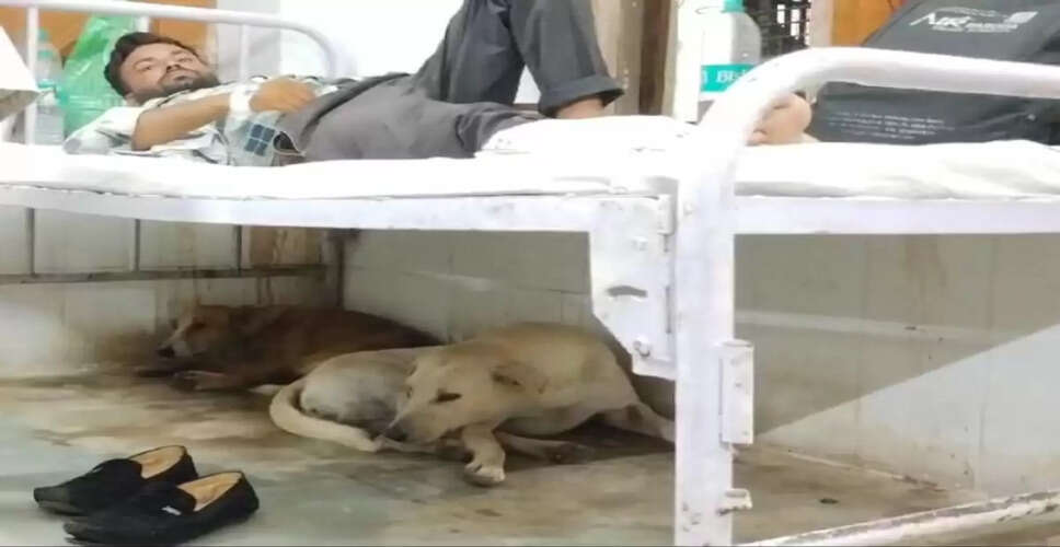 Karoli&nbsp;अस्पताल के वार्डों में घूम रहे आवारा पशु, संक्रमण का खतरा
