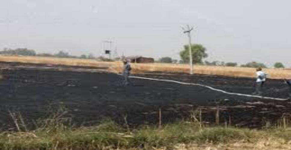 रतनगढ़ में हाईटेंशन लाइन से स्पार्किंग, खेतों की बाड़ में लगी भीषण आग