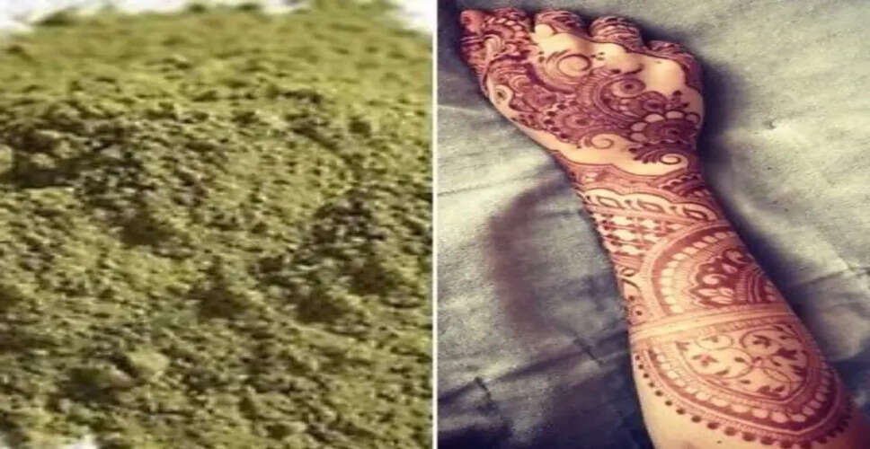 Sawai Madhopur में कटरीना के लिए सोजत से पहुंची मेहंदी मेहमानों के हाथ में भी रचेगी