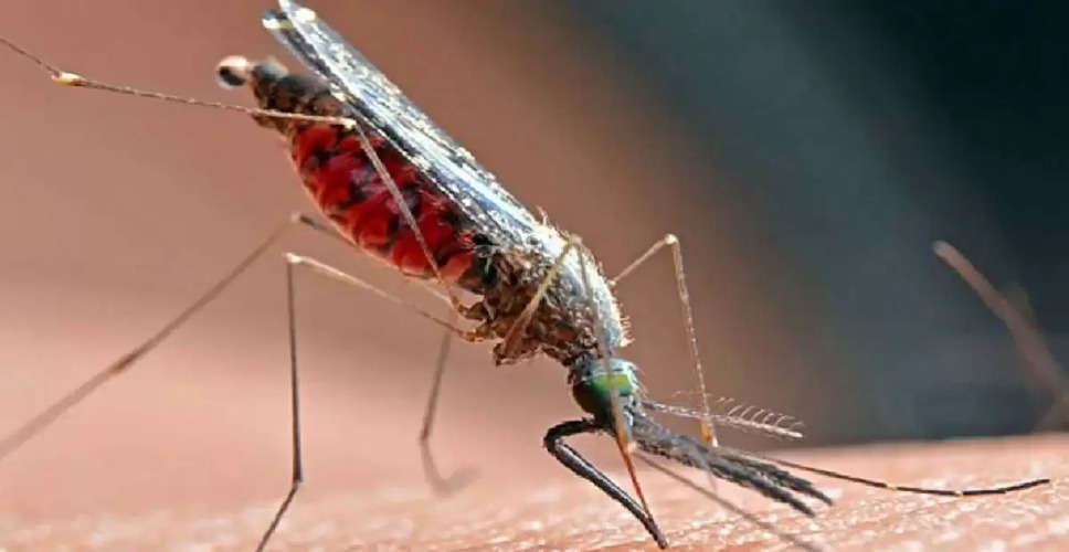Rajasthan का वह शहर जहां प्लेटलेट्स कम होने पर डेंगू के मरीजों को जाना पड़ता 300 KM दूर