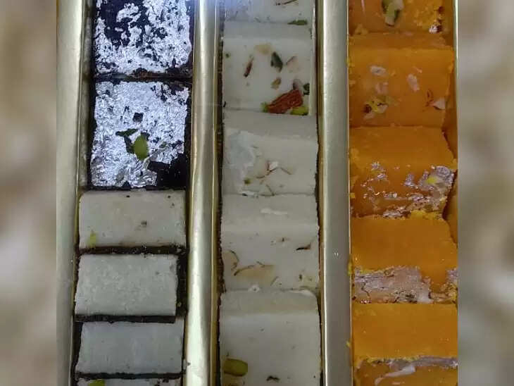 Sawai Madhopur में विक-कैट की शादी में राजस्थानी-गुजराती मिठाइयां