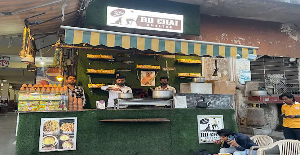 राजस्थान के Ajmer में स्ट्रीट डॉग्स की याद में खोला गया अनोखा कैफे, खासियत जानकर आप भी देने लगेंगे सलामी 