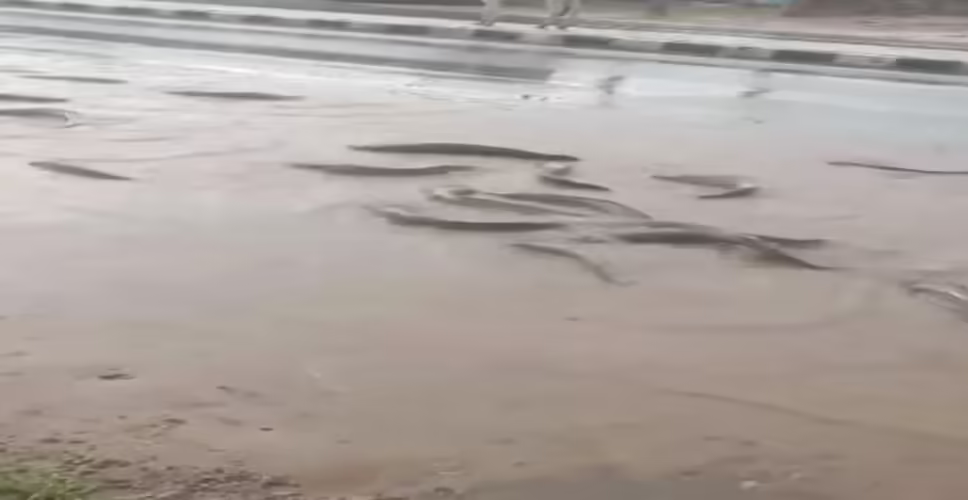 भारी बारिश ने राजस्थान में मचाई तबाही! सड़कों पर मछलियां और घरों में पानी, बाढ़ जैसे हालात ने बढ़ाई चिंता