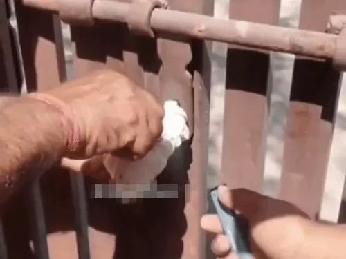 भोपाल क्लब संपत्ति विवाद में हाईकोर्ट से बड़ी राहत, अटैचमेंट पर लगी रोक