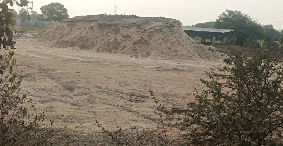 Pratapgarh&nbsp;खांखले की कमी और अवैध भंडारण के कारण प्रति किलो 13 रुपए कीमत, मवेशी मालिक परेशान