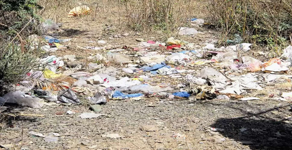 Karoli&nbsp;नहीं बना सके कपोस्ट खाद, शहर में आर्गेनिक कचरे के लगे ढेर