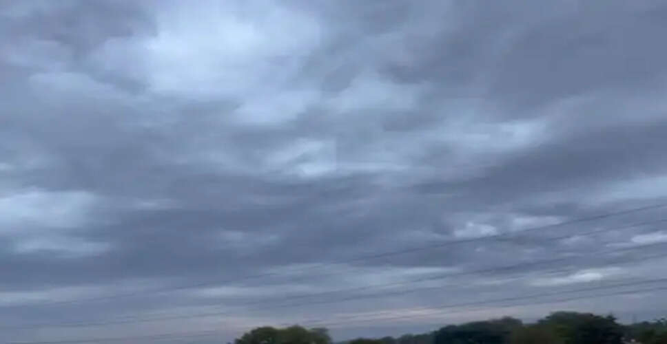 दौसा में बदला मौसम, बारिश से खेतों में कटी गेहूं की फसल भीगी