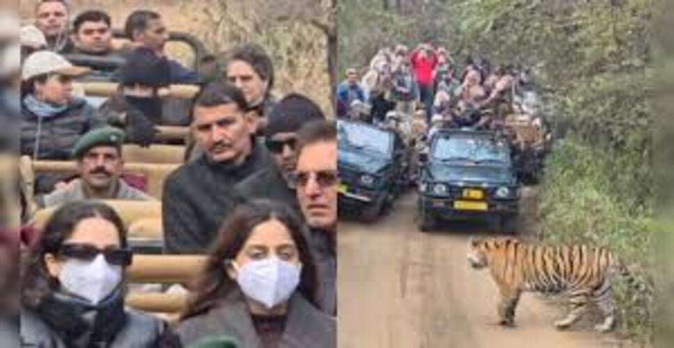 रणथंभौर में बाघ का &lsquo;शाही वॉक&rsquo;: परिक्रमा मार्ग पर डेढ़ घंटे तक डटा रहा, श्रद्धालुओं की यात्रा रुकी, VIDEO वायरल