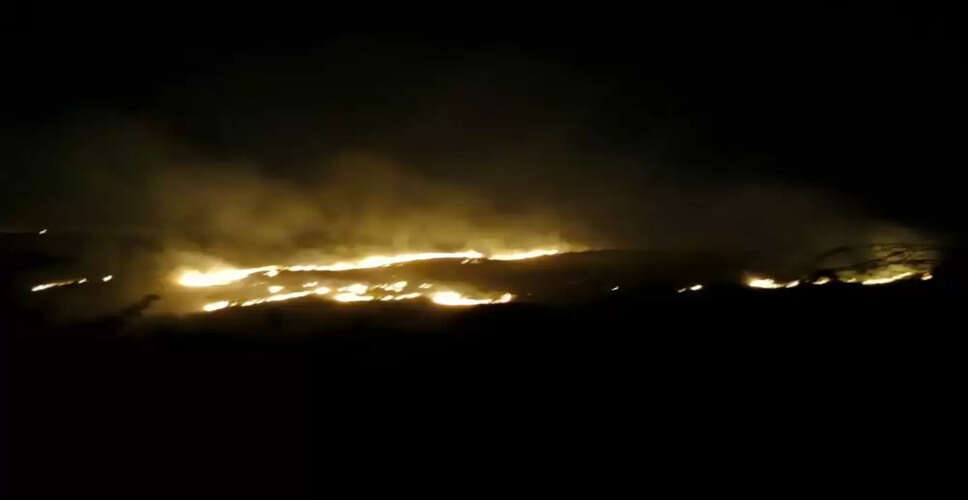 अजमेर में अरावली पहाड़ी की झाड़ियों में आग, वन विभाग ने काबू पाया