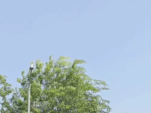 सीकर में तेज धूप से बढ़ी गर्मी, साफ आसमान के बीच तापमान में बढ़ोतरीw