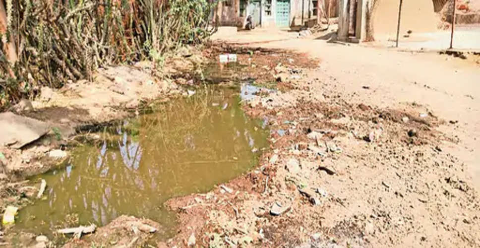 Bhilwara लसाड़िया गांव में सफाई के अभाव में गंदा पानी सड़क पर फैला 