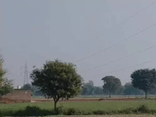 अलवर में बढ़ने लगी सर्दी, रात से चल रही ठंडी हवाओं ने बदला मौसम; आने वाले दिनों में गिरेगा तापमान