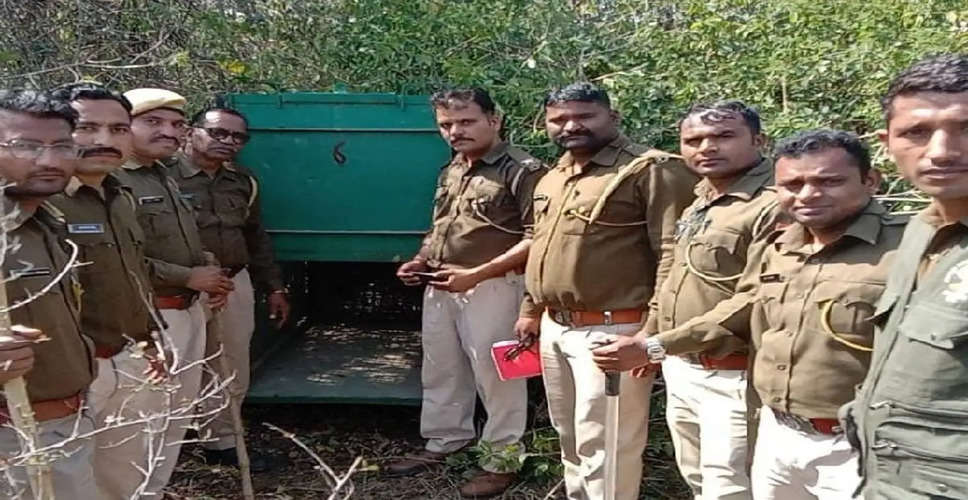 Churu में वन विभाग ने टीमें गठित, पुलिस के साथ मिलकर चलाएंगे अभियान