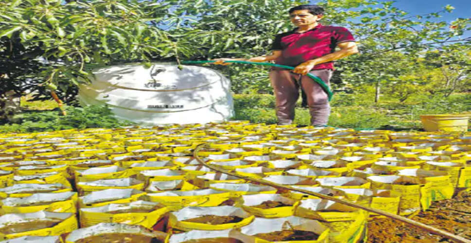 जयपुर के किसान ने मिसाल पेश की: कम पानी और विपरीत जलवायु में भी सफल बागवानी, एक बीघा से शुरू किया सफर