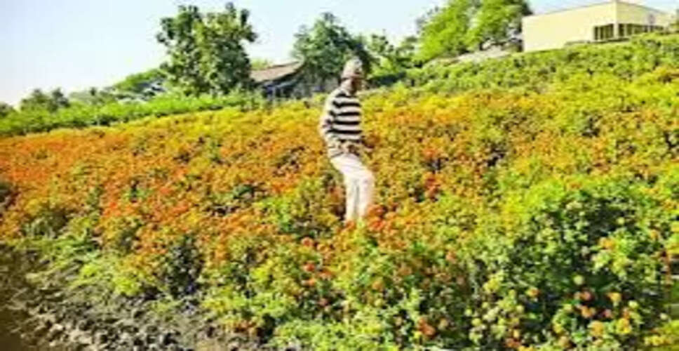 सोशल मीडिया से आदिवासी किसान राजेश कुमार ने बनाई आर्थिक मजबूती