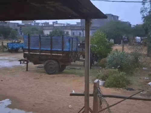 वेस्टर्न डिस्टर्बेंस से बदला राजस्थान का मौसम, बीकानेर और जालोर में बारिश