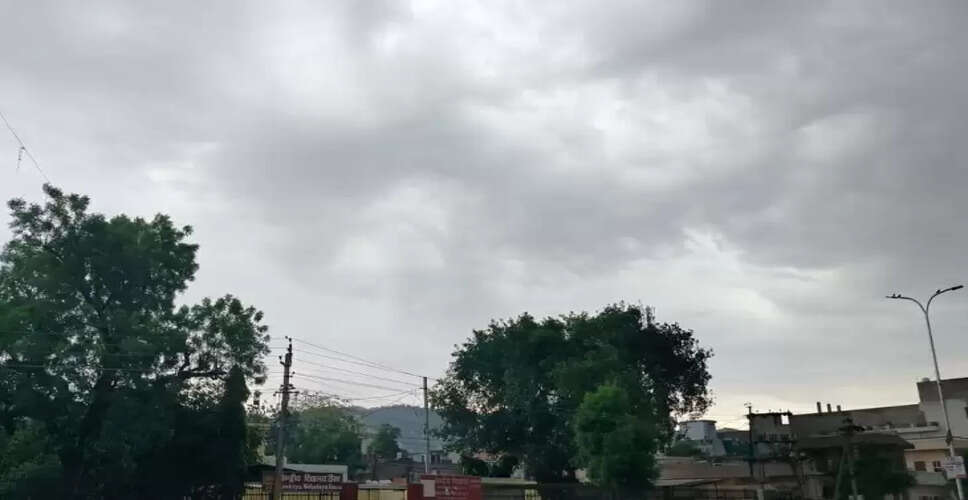 हलकी बारिश के चलते Dausa में मौसम ने फिर ली करवट, गेहूं को राहत लेकिन इन फसलों को हो सकता है नुकसान&nbsp;