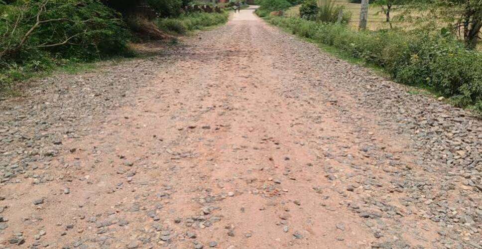अलवर में तेज रफ्तार ट्रक ने बाइक सवार पिता-पुत्र को मारी टक्कर, बेटे की मौत; पिता गंभीर घायल
